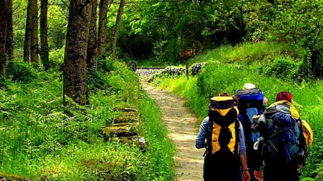 Albergue Camino Norte