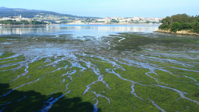 Paseo costero Castropol - Figueras