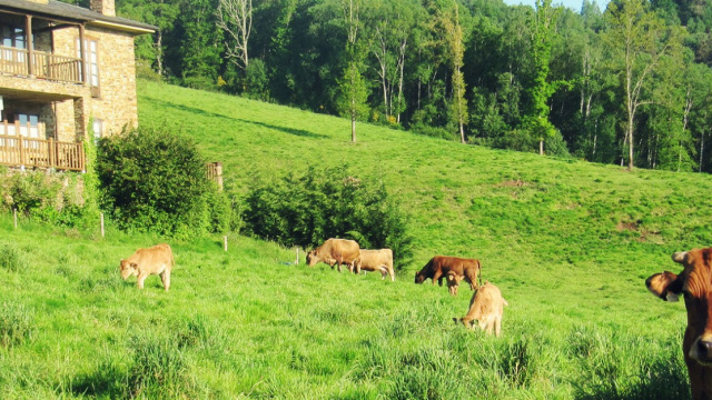 Agroturismo Caserío Viduedo