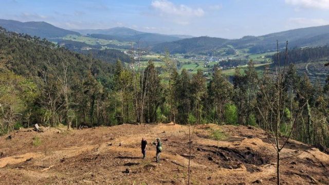 Castro As Croas de Eilale