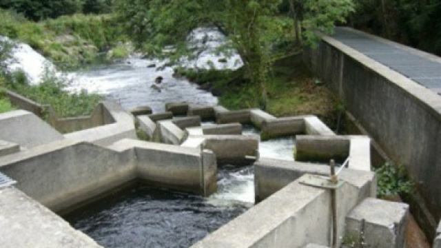 Escala de Salmones en San Tirso