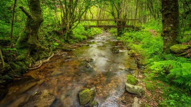 Ruta Os Cortíos PR-AS 278