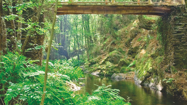 Ruta da Mina das Talladas PR-AS 203