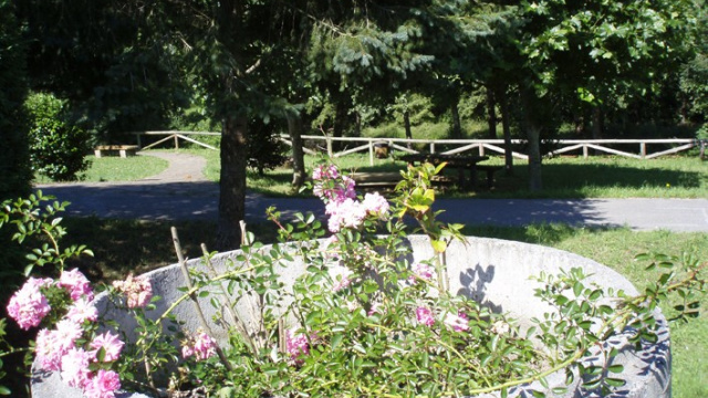 Área recreativa El Piñeiro