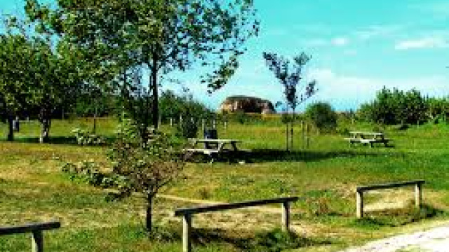 Área recreativa de Penarronda