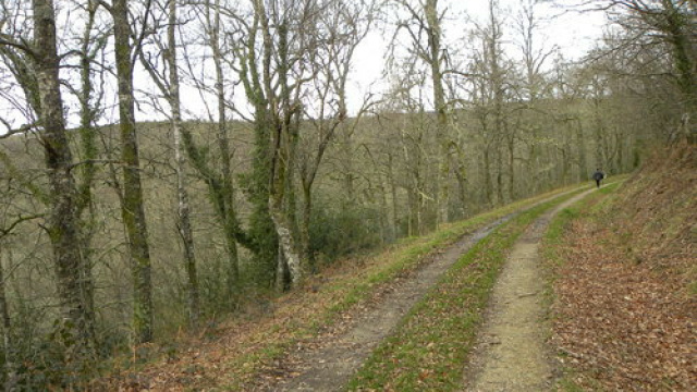 Route of Carbayal de Salgueiras PR-AS 215