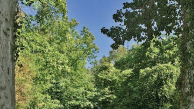 Ruta del Ferrocarril