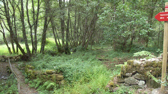 Ruta de los Arrieros