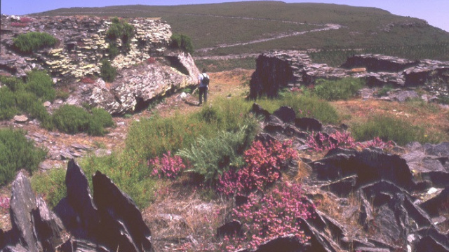 Castro de San Isidro 