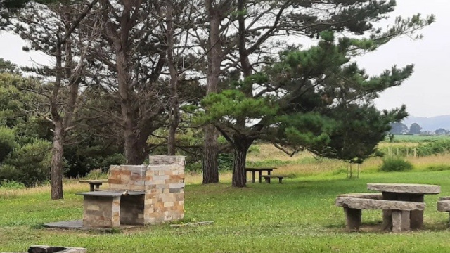 Área recreativa Campo de Arnao