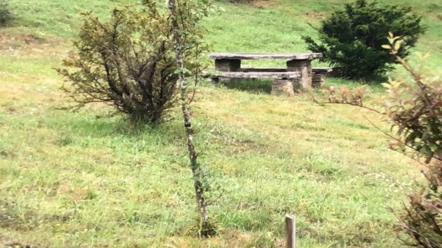 Área recreativa del Teixo