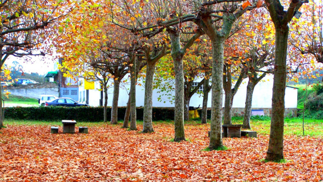 Área recreativa de San Roque